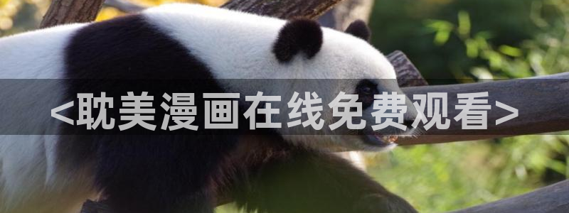 能看韩漫的网址推荐：<耽美漫画在线免费观看>