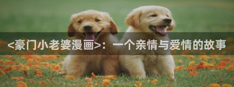 韩漫漫画网免费：<豪门小老婆漫画>：一个亲情与爱情的故事