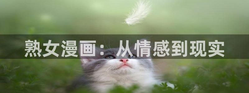 韩漫无删减版第一韩漫在线看：熟女漫画：从情感到现实