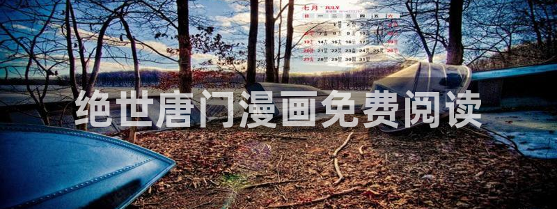 漫画韩漫歪歪：绝世唐门漫画免费阅读