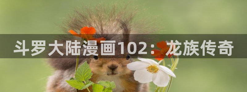 我的m属性学姐韩漫在线观看