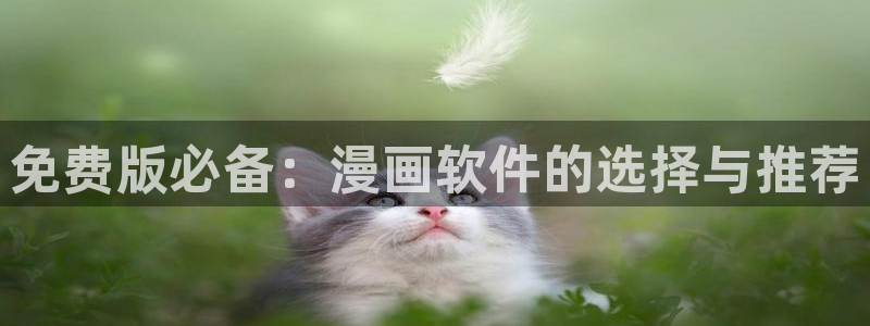 日韩漫画网免费看：免费版必备：漫画软件的选择与推荐