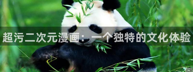 无删减韩漫免费在线看：超污二次元漫画：一个独特的文化体验