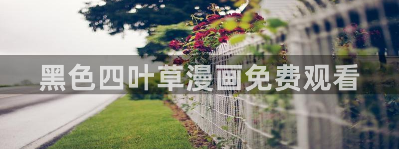 韩漫生子漫画：黑色四叶草漫画免费观看