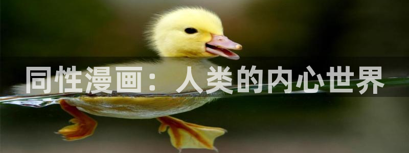 韩漫无修雅漫社久久韩漫：同性漫画：人类的内心世界