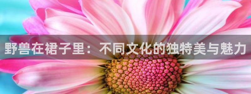 漫画之韩漫：野兽在裙子里：不同文化的独特美与魅力