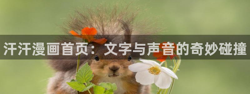漫蛙韩漫版：汗汗漫画首页：文字与声音的奇妙碰撞