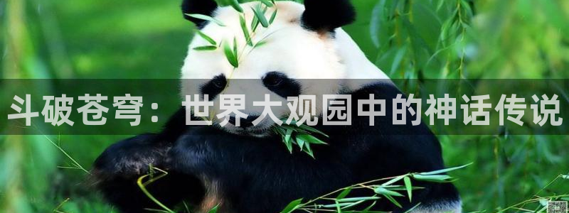 可以免费看韩漫的网站：斗破苍穹：世界大观园中的神话传说