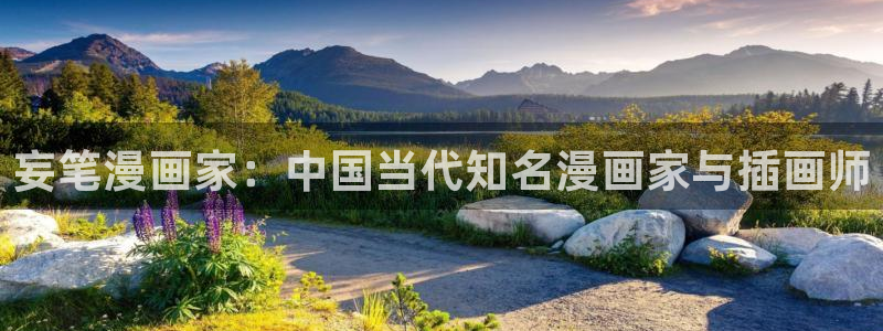 免费韩漫画观看：妄笔漫画家：中国当代知名漫画家与插画师