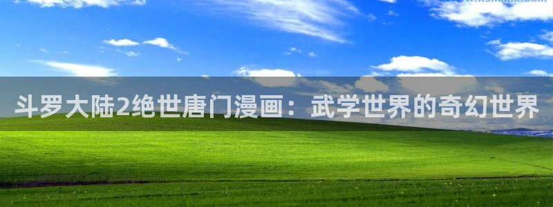 漫画免费韩漫,软件：斗罗大陆2绝世唐门漫画：武学世界的奇幻世界